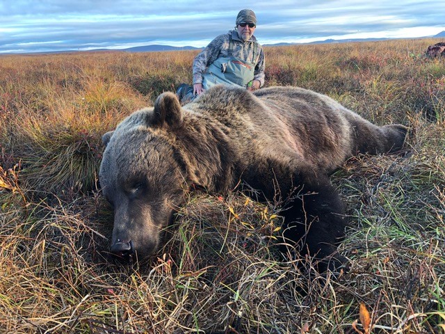 Grizzly bear guide: where they live, how they hunt and