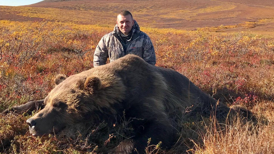 Alaska Wilderness Charters & Guiding - Grizzly Bear Gallery