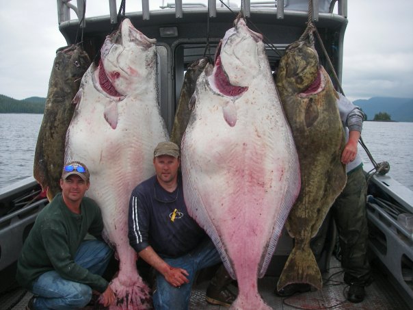 Alaska Wilderness Charters & Guiding - Ketchikan Salmon & Halibut Fishing