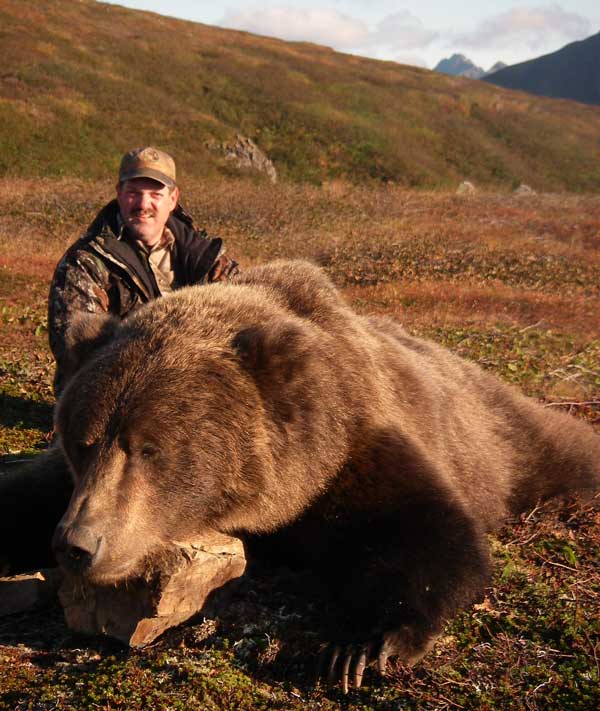 alaska brown bear hunting
